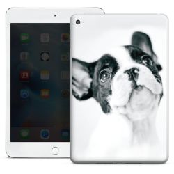 Foils for Tablets glossy