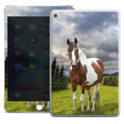 Foils for Tablets glossy