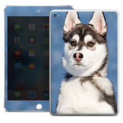 Foils for Tablets glossy