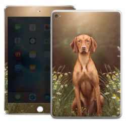 Foils for Tablets glossy