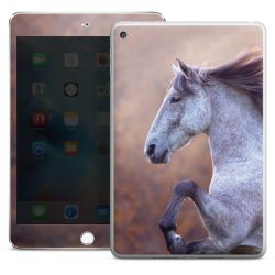 Foils for Tablets glossy