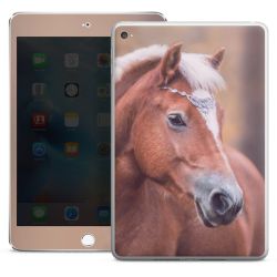 Foils for Tablets glossy