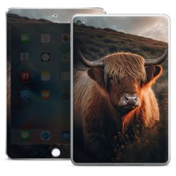 Foils for Tablets glossy