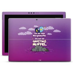 Folien für Laptops matt