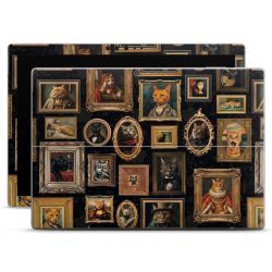 Foils for Laptops matt