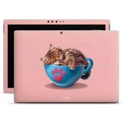 Foils for Laptops matt