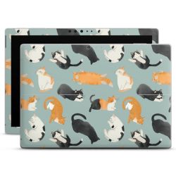 Foils for Laptops matt