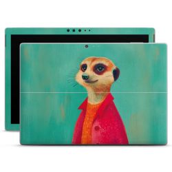 Foils for Laptops matt