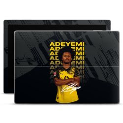 Foils for Laptops matt