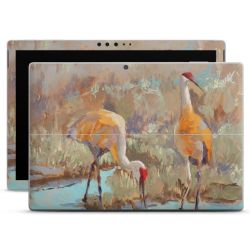 Foils for Laptops matt