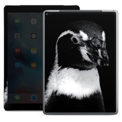 Foils for Tablets glossy