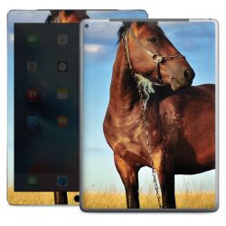 Foils for Tablets glossy
