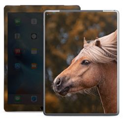 Foils for Tablets glossy