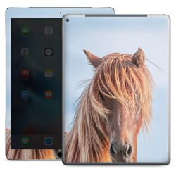 Foils for Tablets glossy