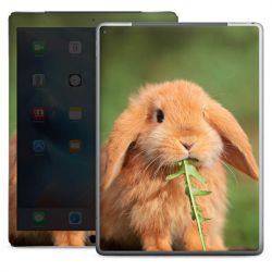 Foils for Tablets glossy