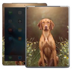 Foils for Tablets glossy