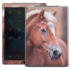 Foils for Tablets glossy