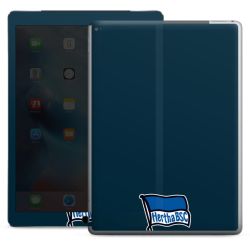 Folien für Tablets matt