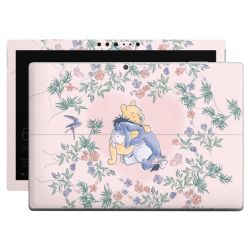 Foils for Laptops matt