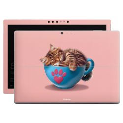 Foils for Laptops matt