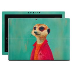 Foils for Laptops matt