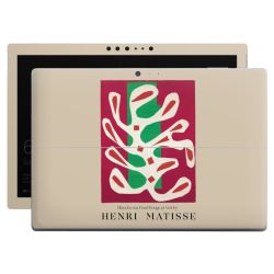 Foils for Laptops matt