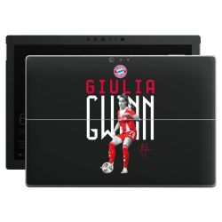 Foils for Laptops matt