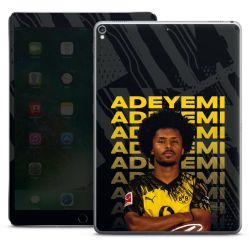 Foils for Tablets matt