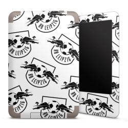 Foils for E-Readers matt