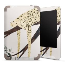 Foils for E-Readers matt
