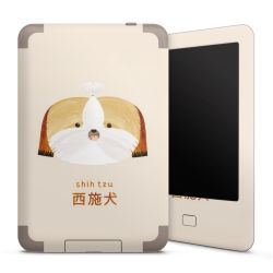 Foils for E-Readers matt