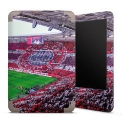 Foils for E-Readers matt