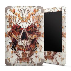 Foils for E-Readers matt