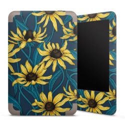 Foils for E-Readers matt