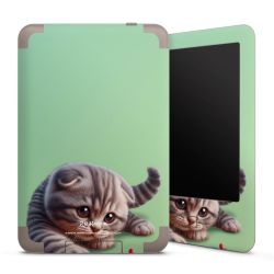 Foils for E-Readers matt