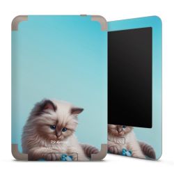 Foils for E-Readers matt