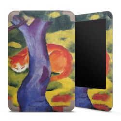 Foils for E-Readers matt