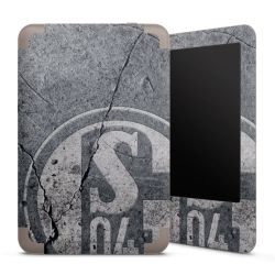 Foils for E-Readers matt
