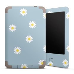 Foils for E-Readers matt