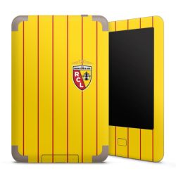 Foils for E-Readers matt