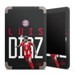 Foils for E-Readers matt