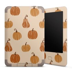 Foils for E-Readers matt