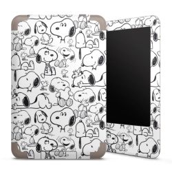 Foils for E-Readers matt