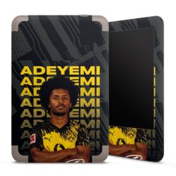 Folier E-boksläsare matt