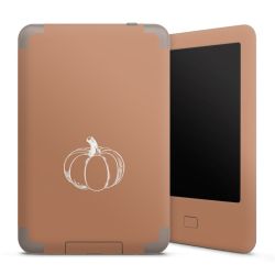 Foils for E-Readers matt