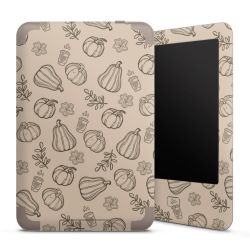 Foils for E-Readers matt