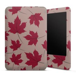 Foils for E-Readers matt