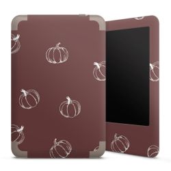 Foils for E-Readers matt