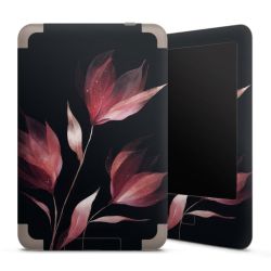 Foils for E-Readers matt