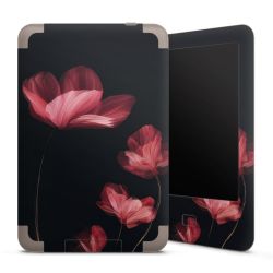 Foils for E-Readers matt